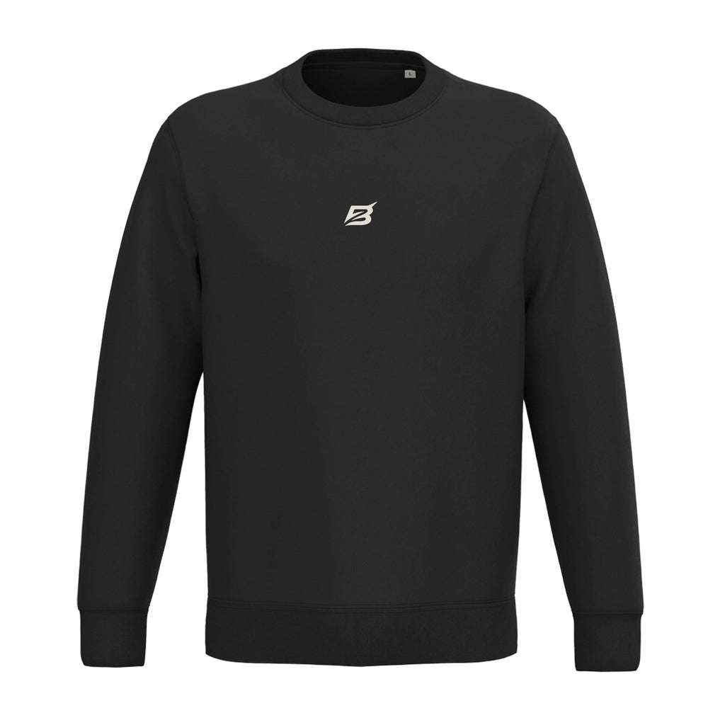 Varsity Arc Sweatshirt